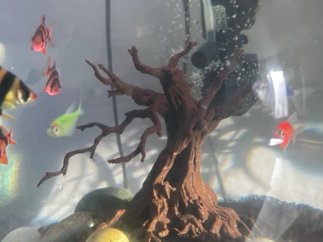 Old tree