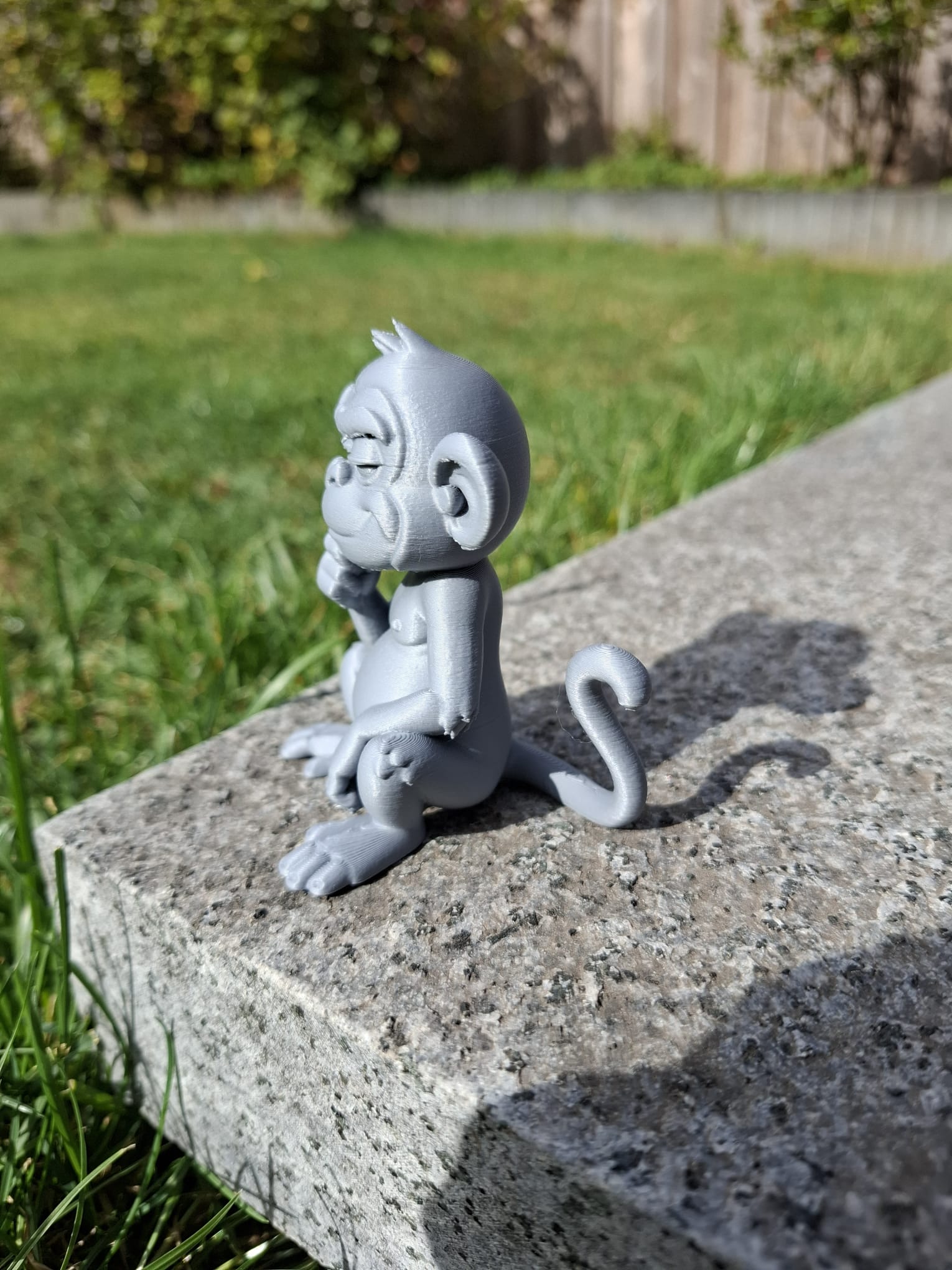 Cheeky Thinking Monkey — thumbnail 4