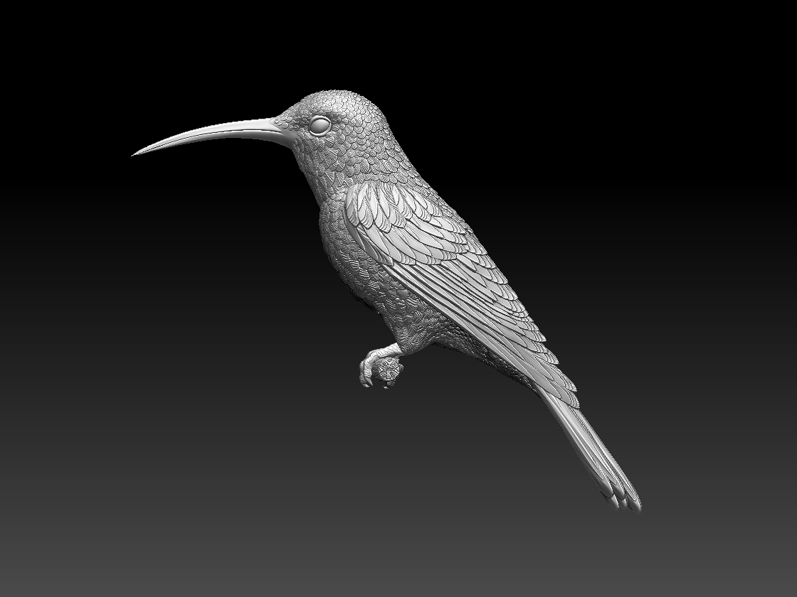 hummingbird — miniatura 7