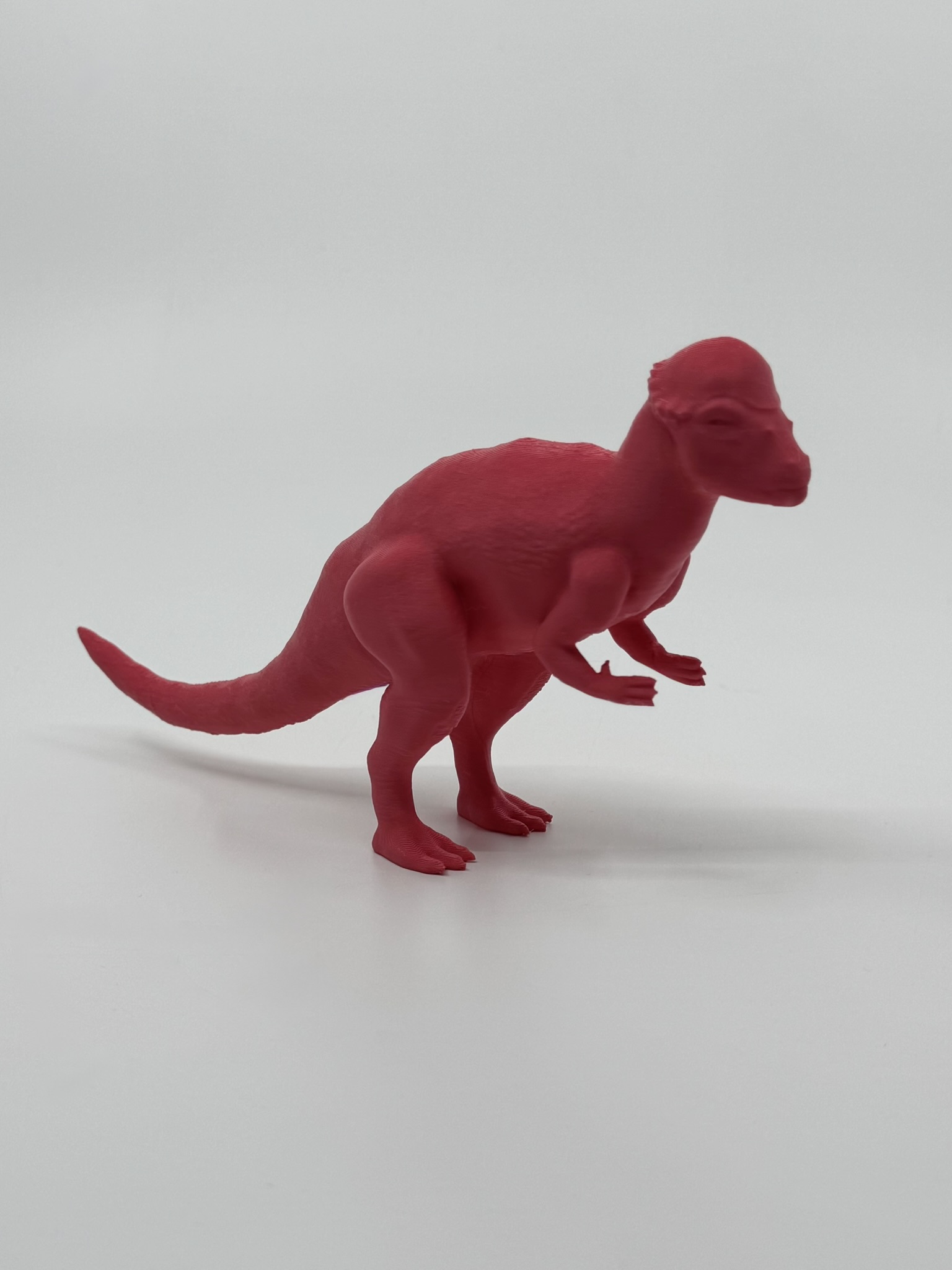 Pachycephalosaurus