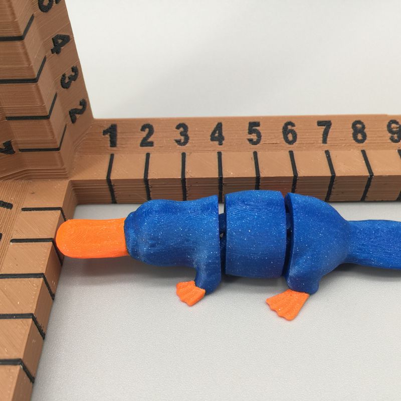 Flexi Platypus by Star Labs 3D, LLC | Download free STL model ...