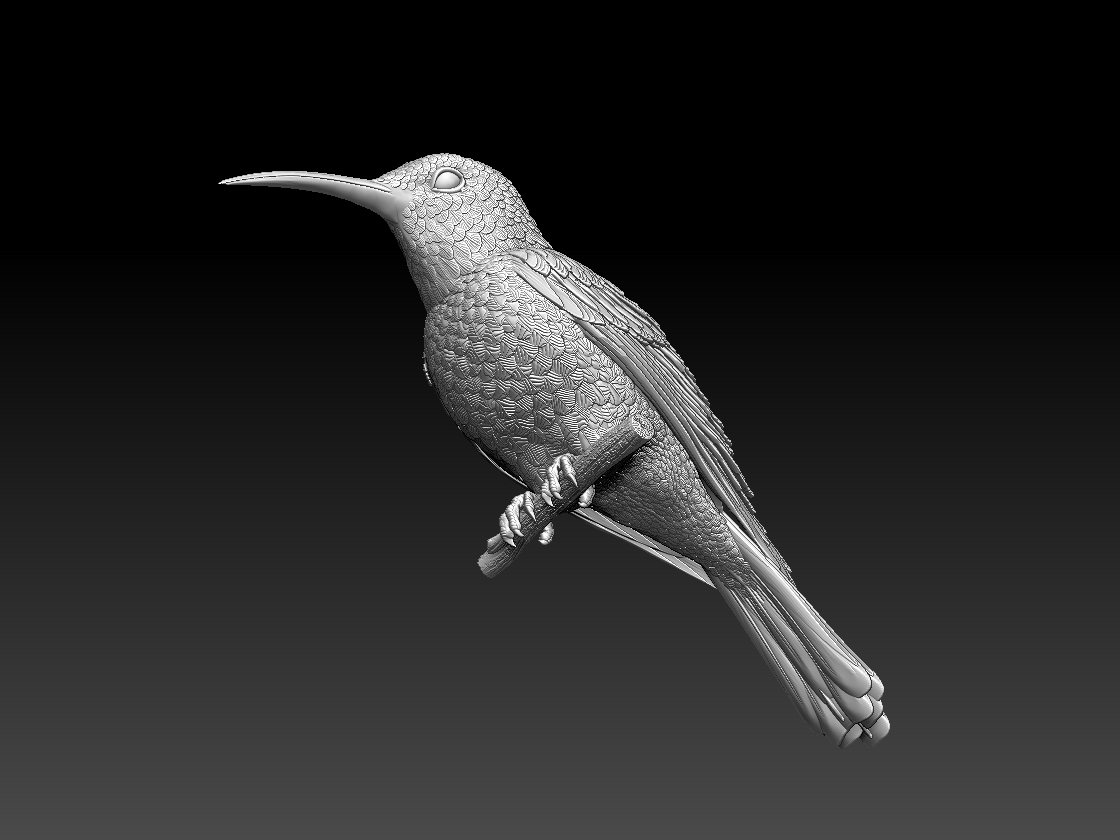 hummingbird — miniatura 5