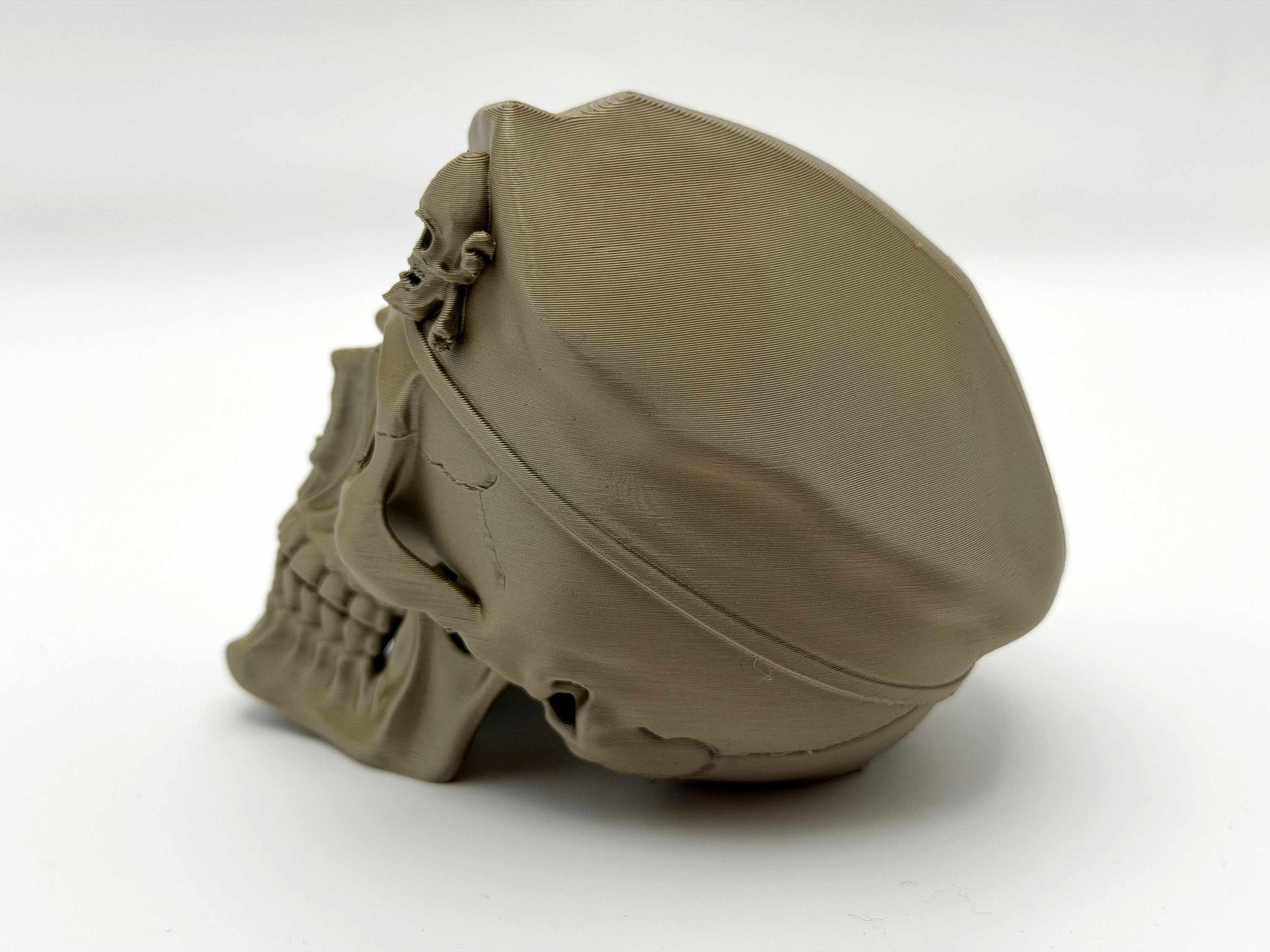 Skeletal Skull — thumbnail 5