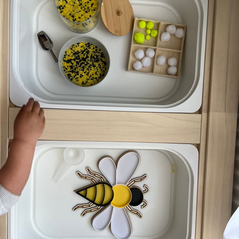 Educational Sorting Insects: Montessori Puzzle Toy (No MMU needed) by ...