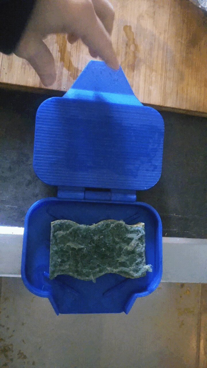 Self-draining kitchen sponge squeezer
