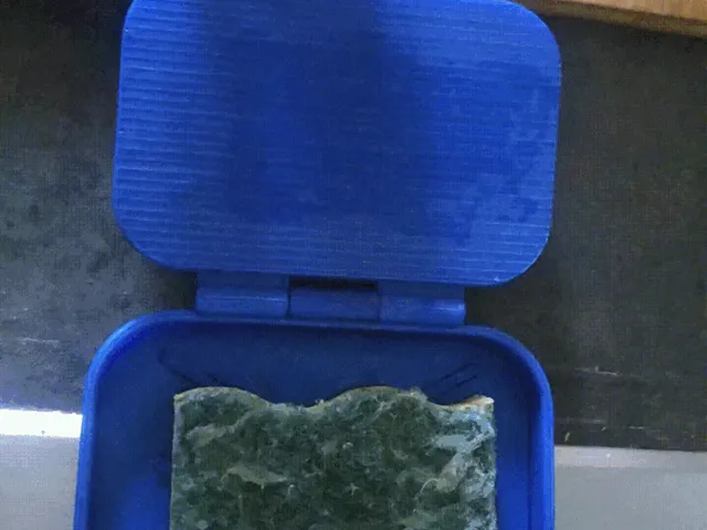Self-draining kitchen sponge squeezer