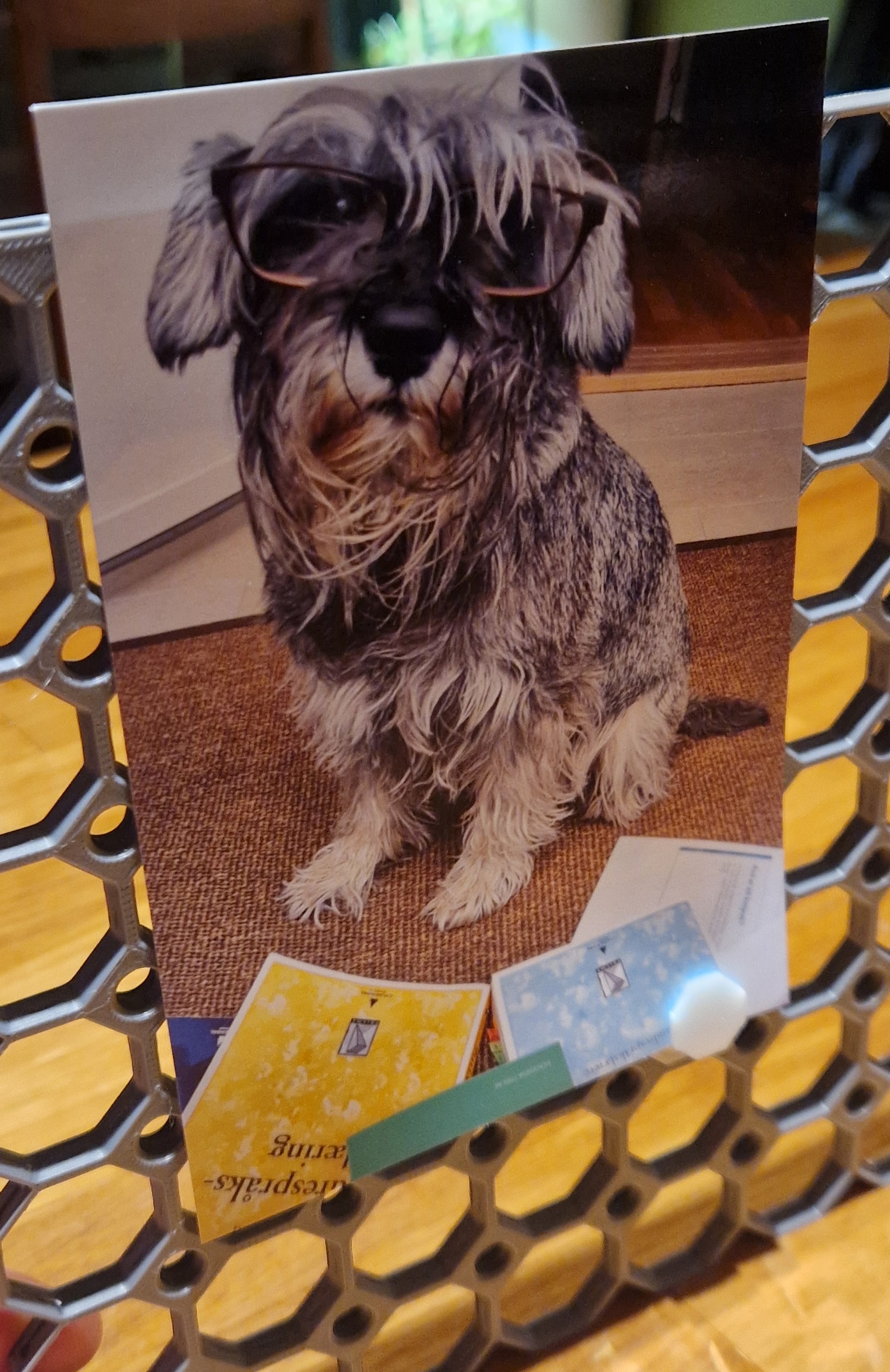 Multiboard Photo Clip