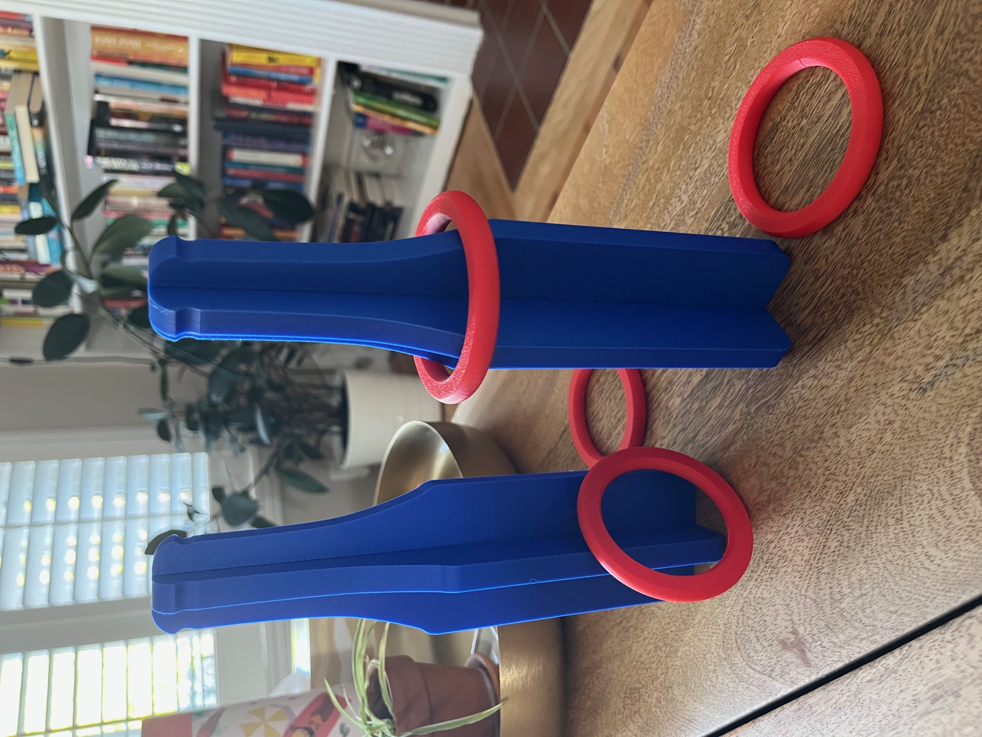 Bottle & Ring Tossing Game