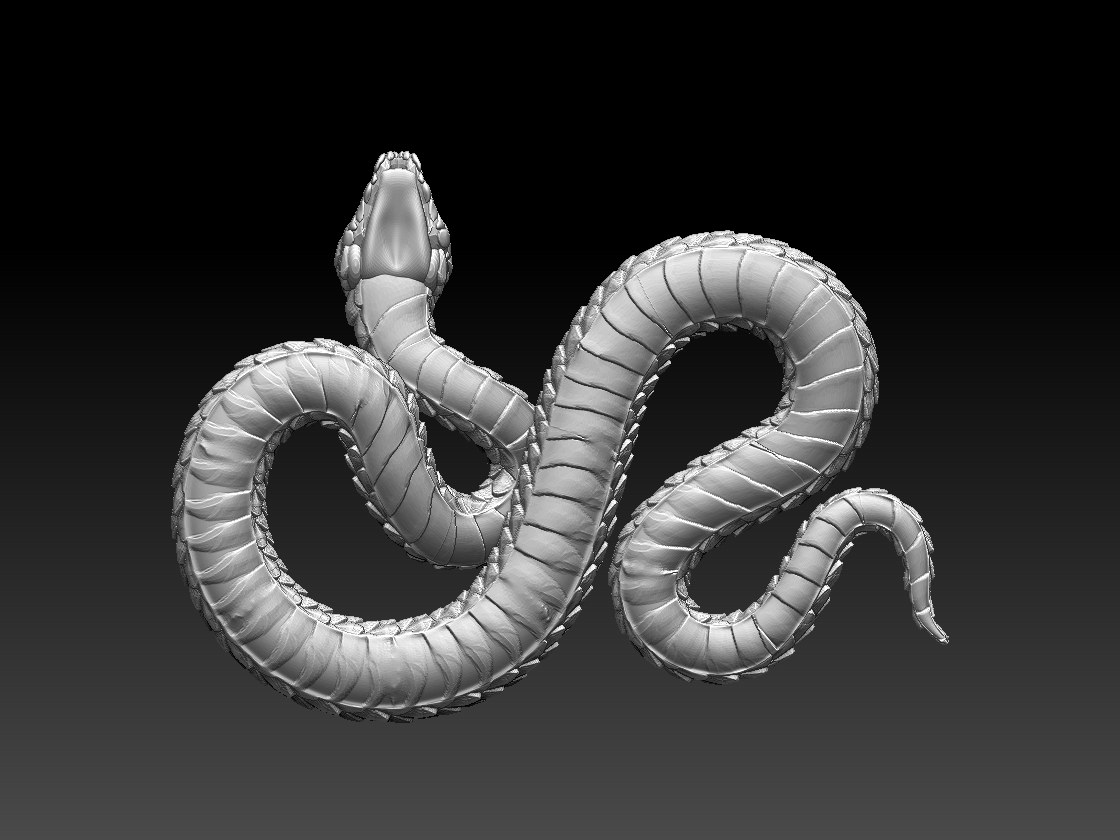 SNAKE — miniatura 8