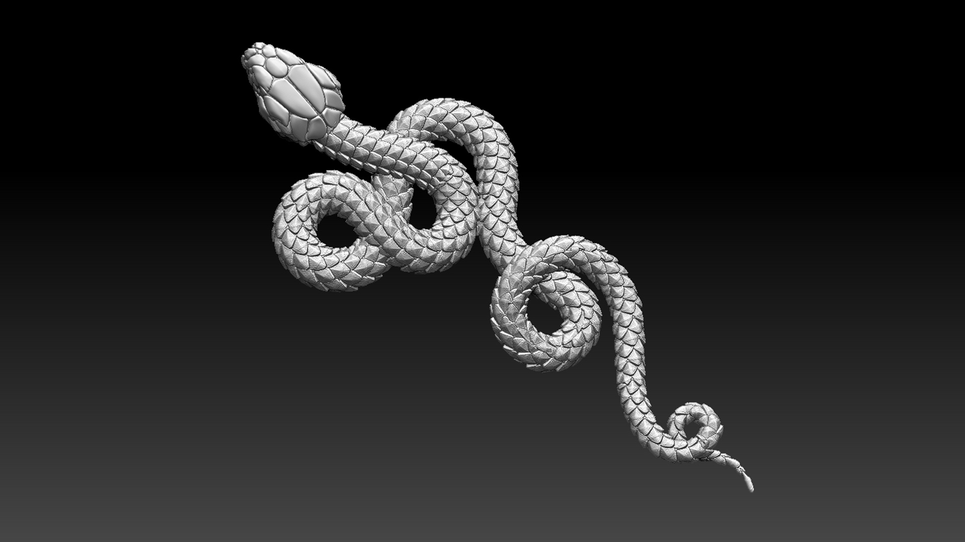 snake — thumbnail 8