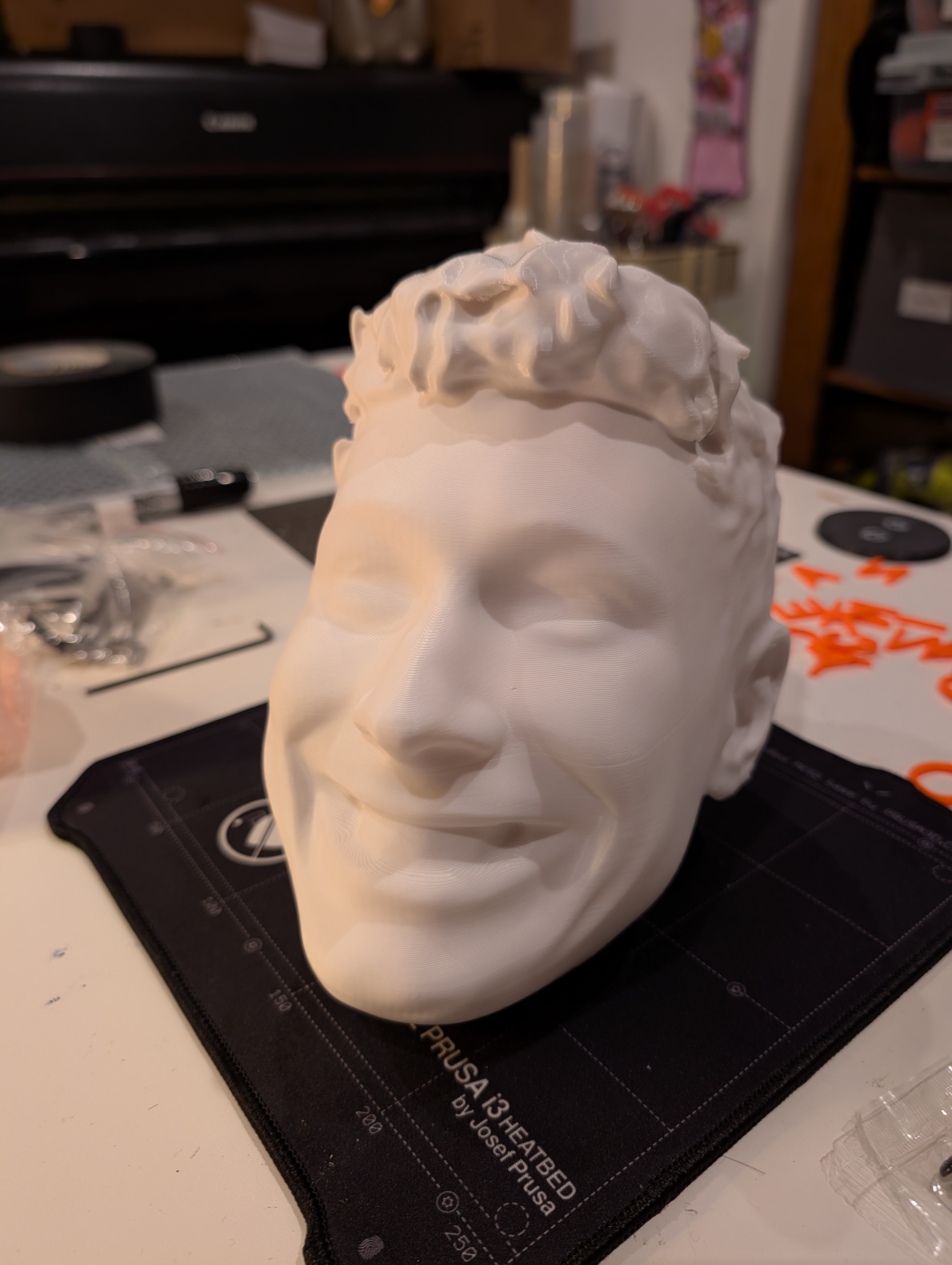 Alex Corea's Head (made to fit on mannequin body)