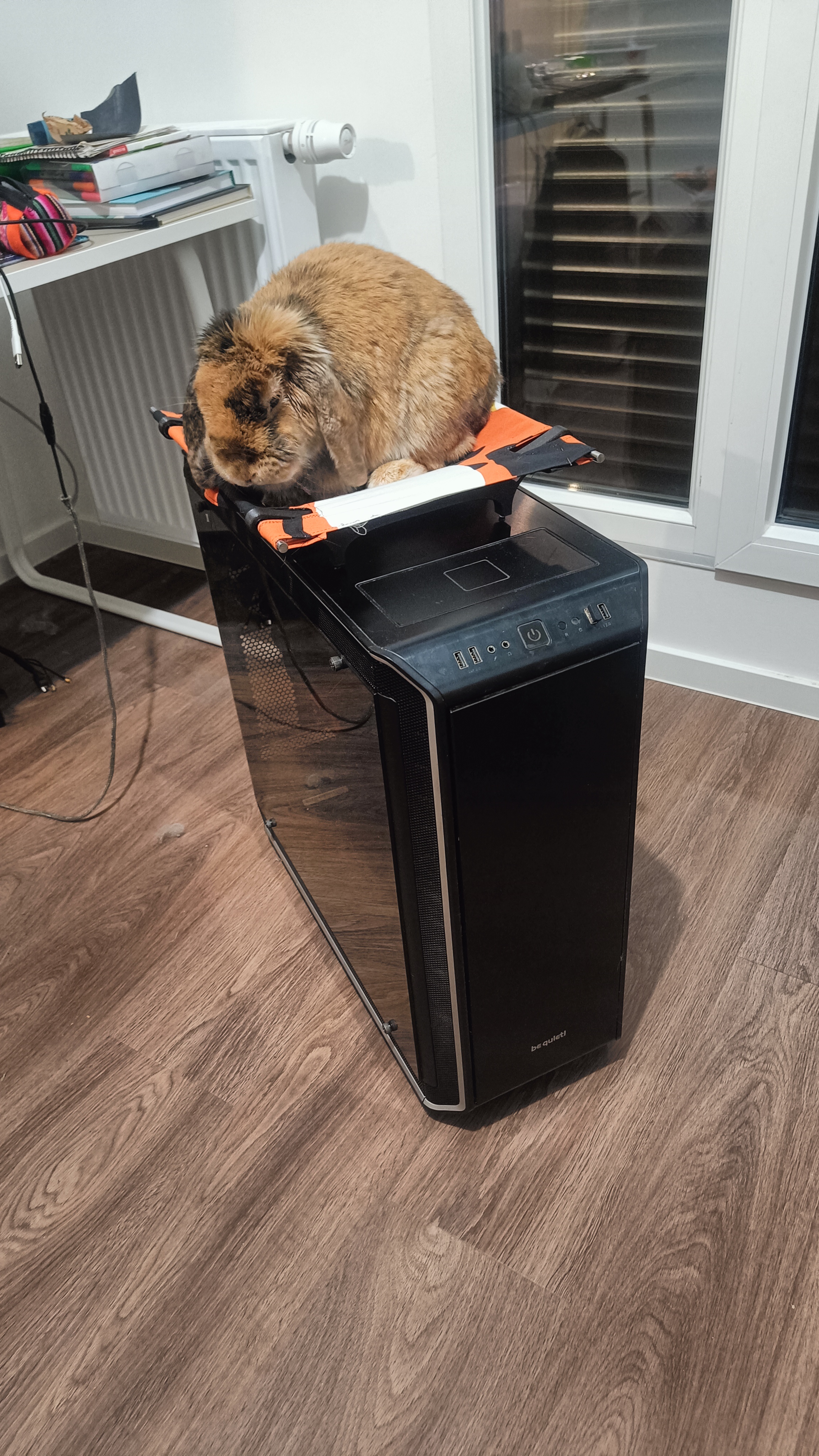 Cat Bed PC Topper for qube 540