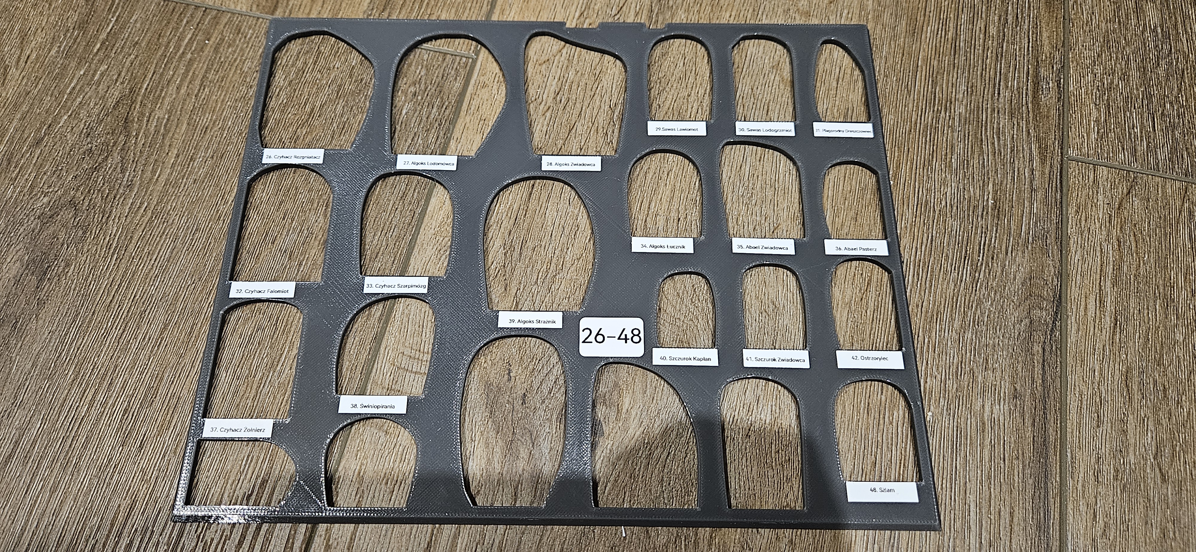 Plastic cover with cutouts for frosthaven storage trays