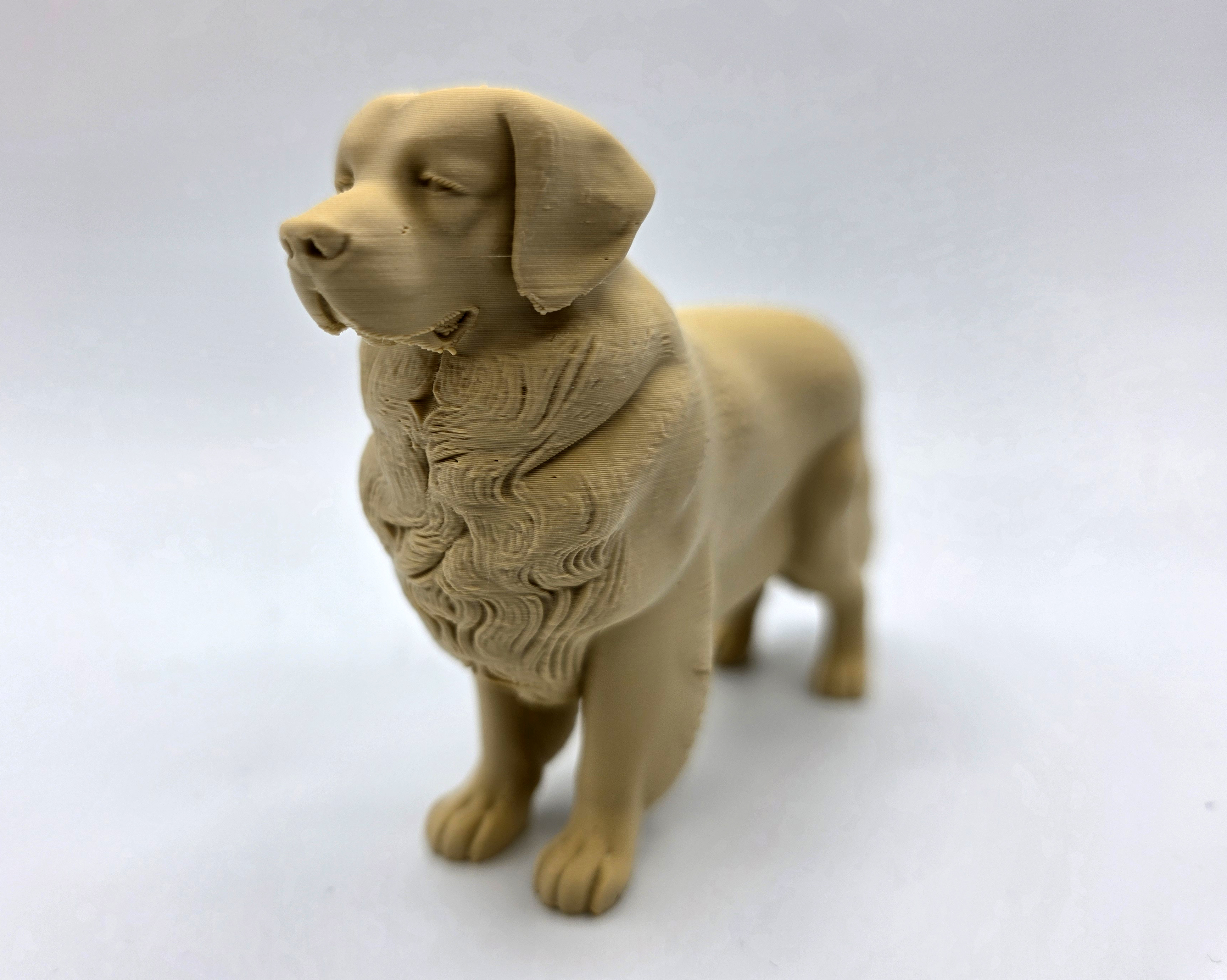 Standing Golden Retriever