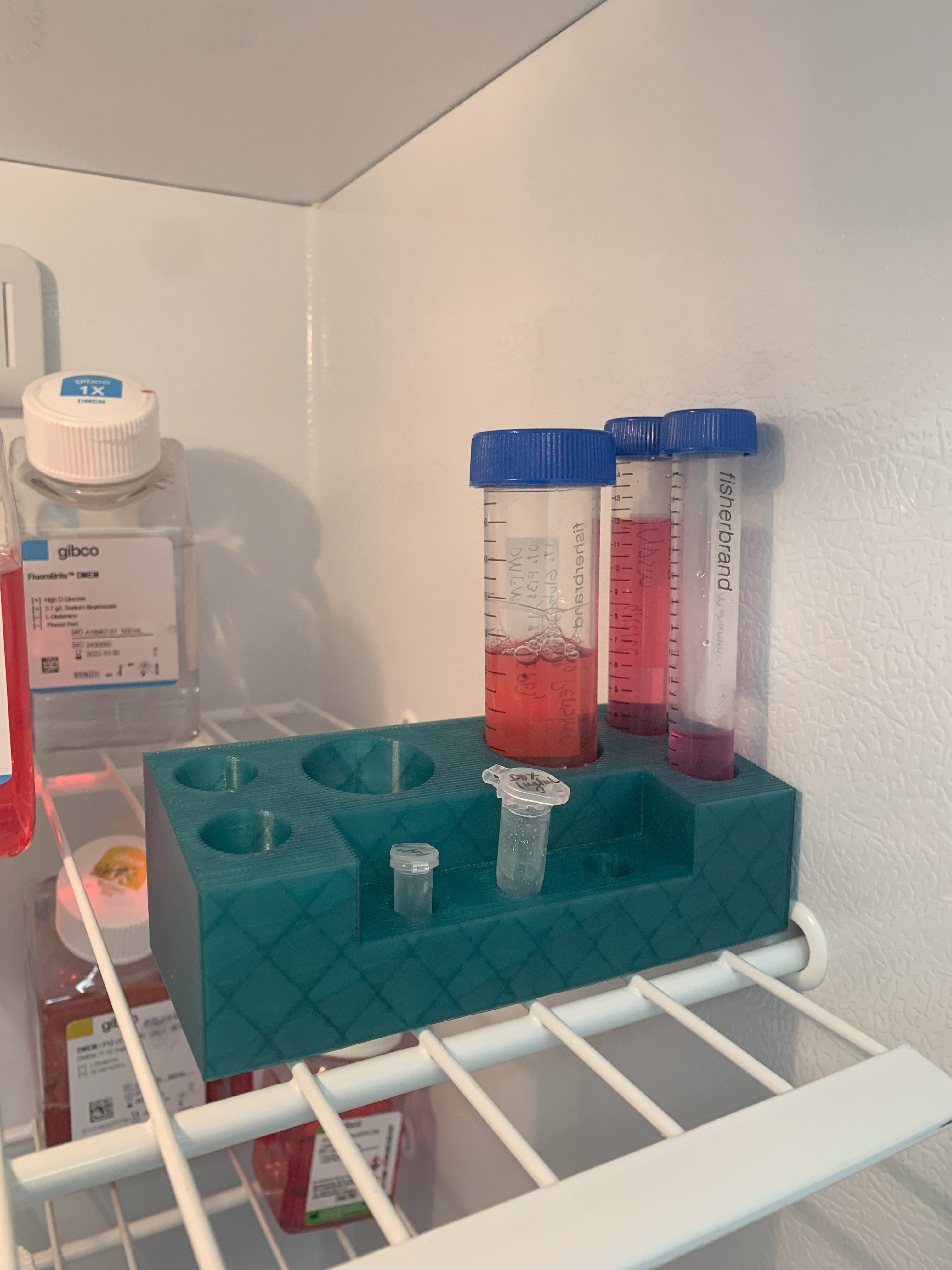 Science tube holder