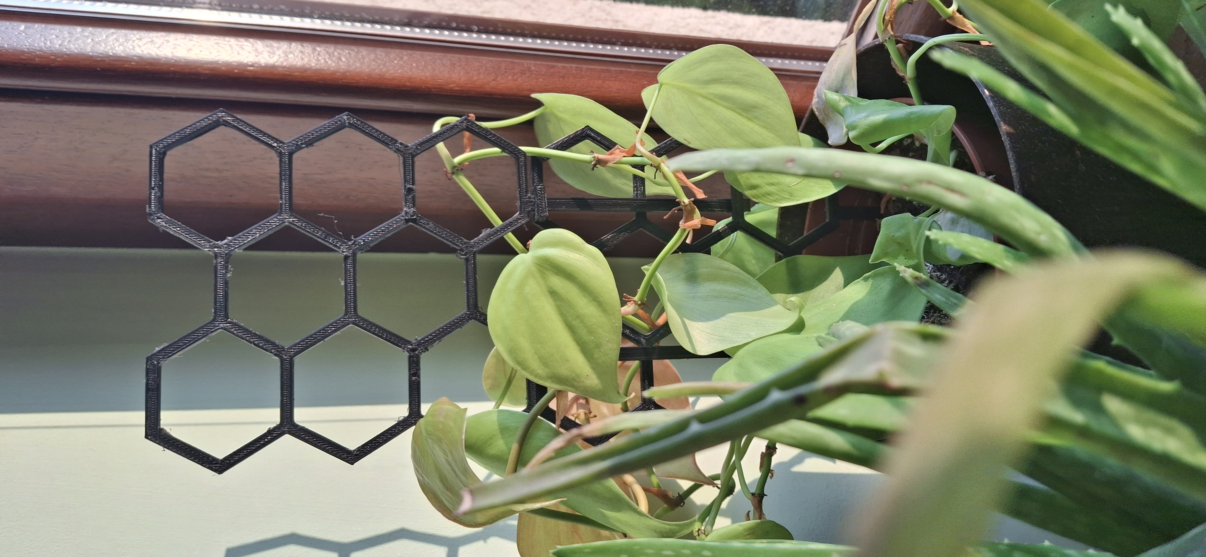 Honeycomb Plant  support — thumbnail 5
