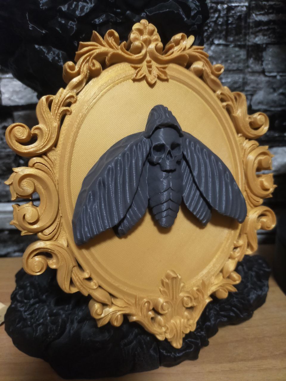 Framed Death’s-Head Moth