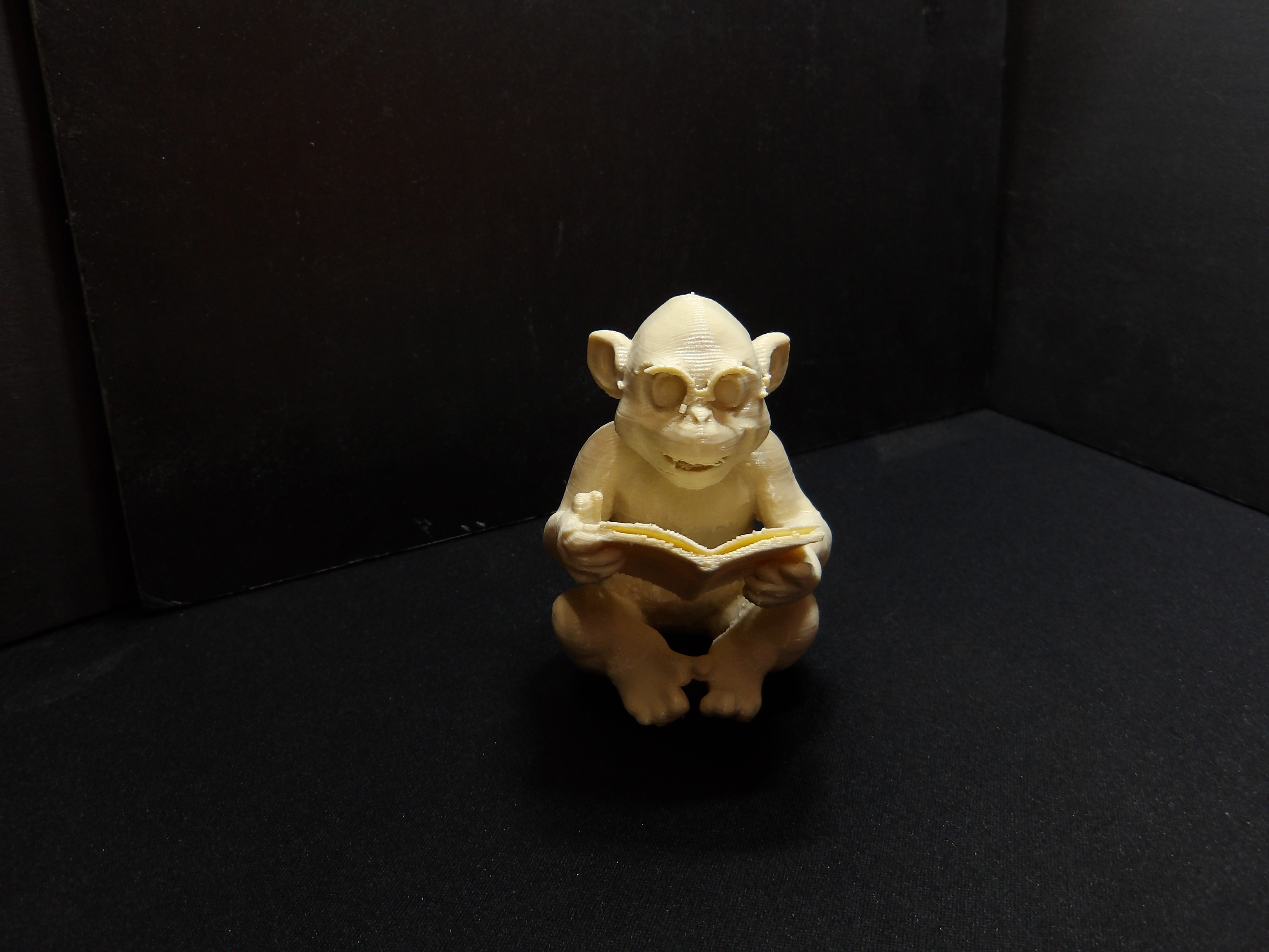 Monkey reading a book.