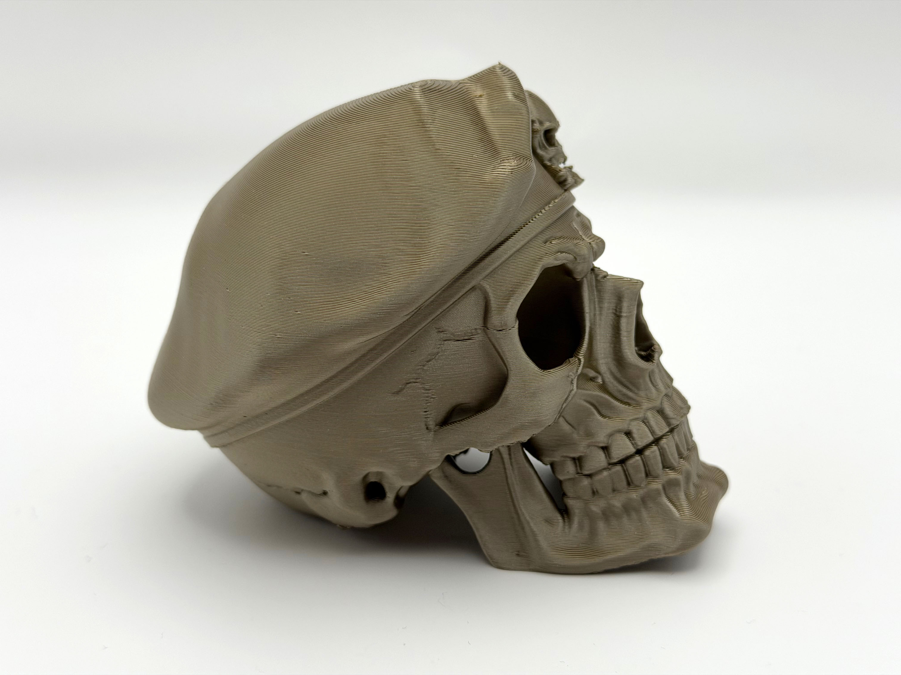 Skeletal Skull — thumbnail 4