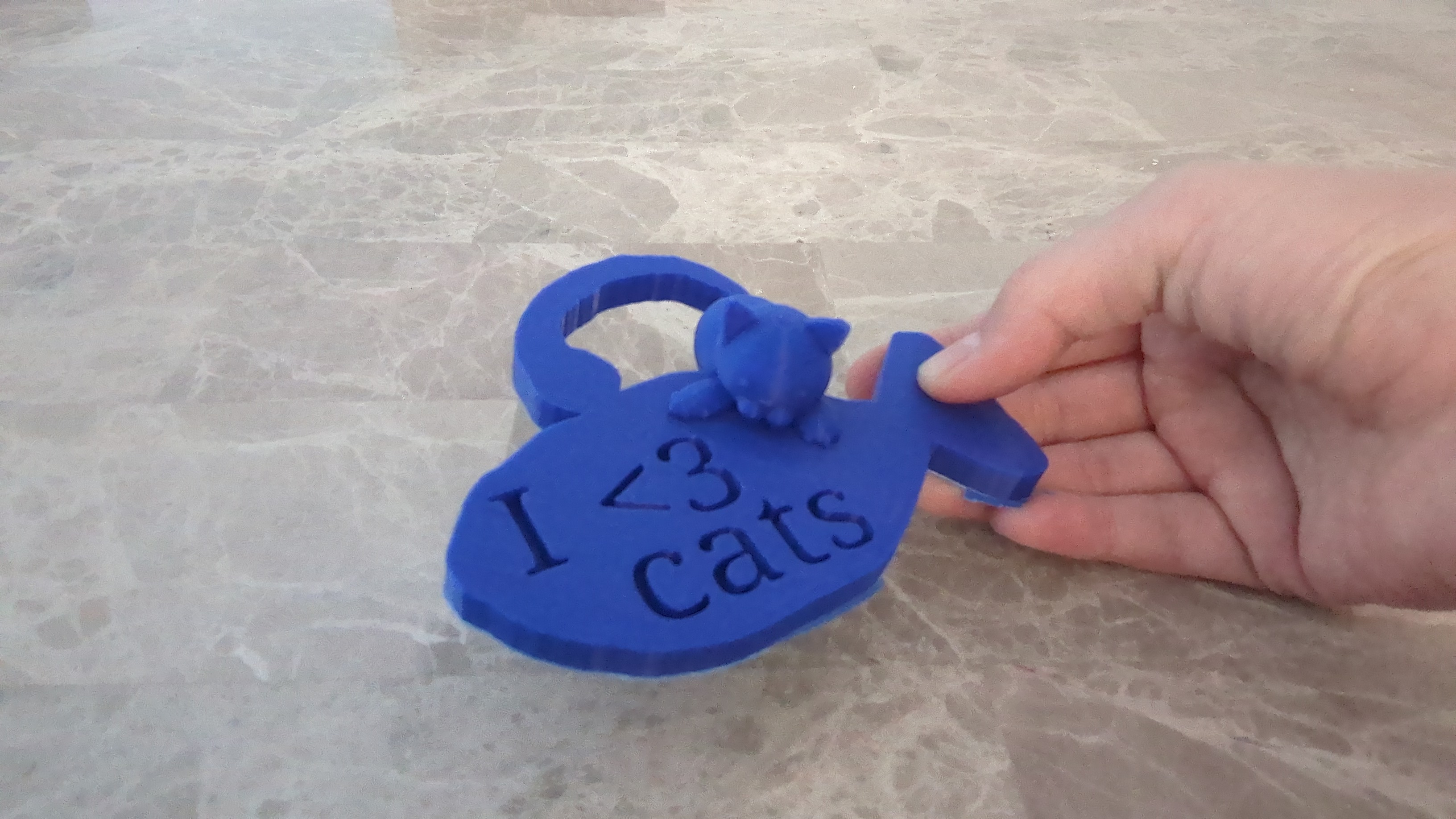 Cat luggage tag