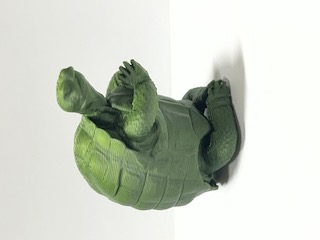 Zen Tortoise — miniatura 2