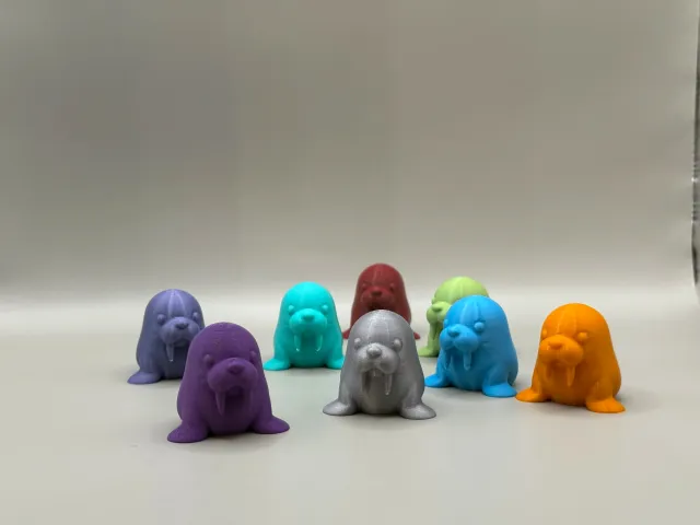 Wally – The Chillest Walrus in the Arctic