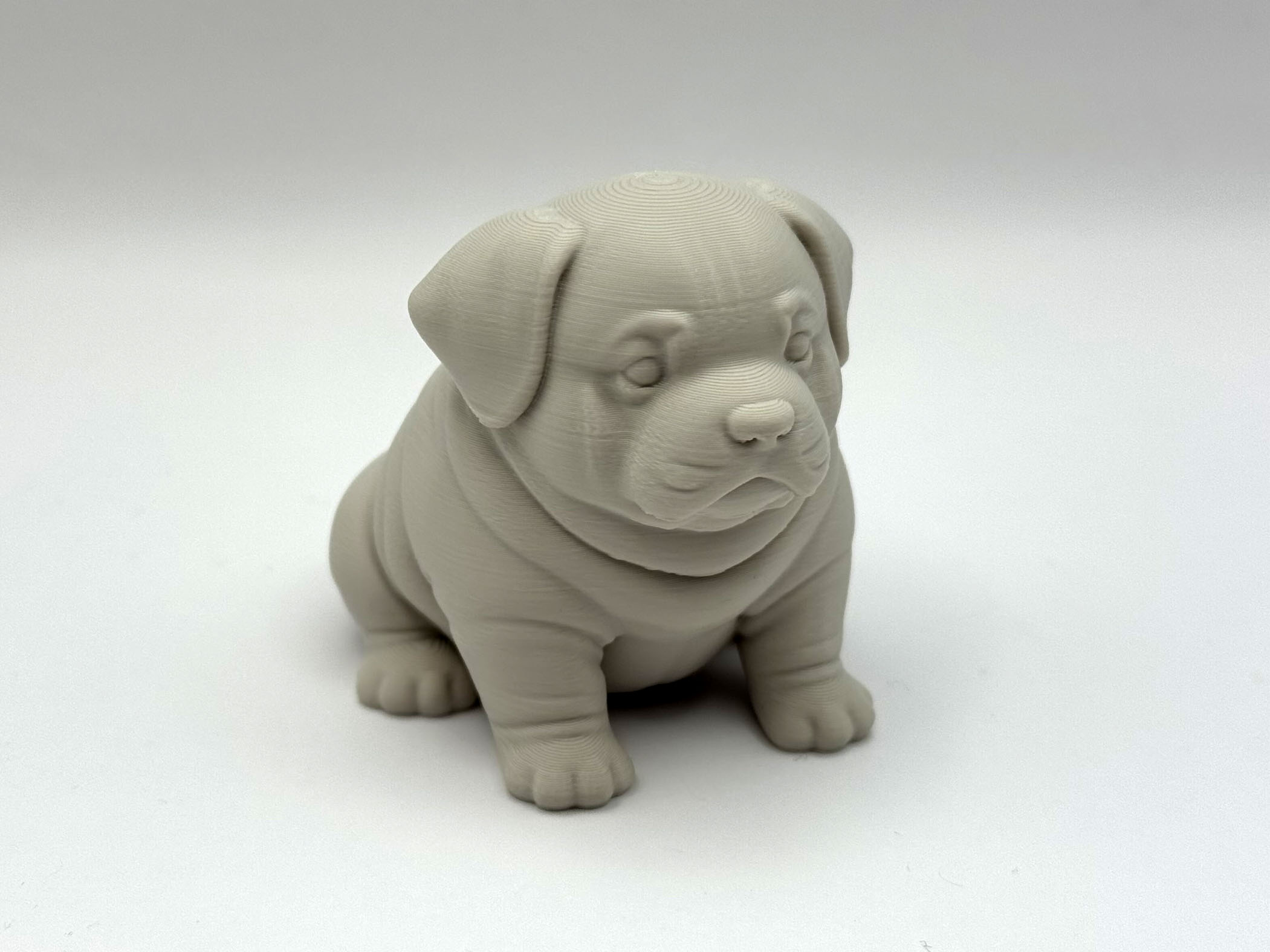 Chubby Puppy