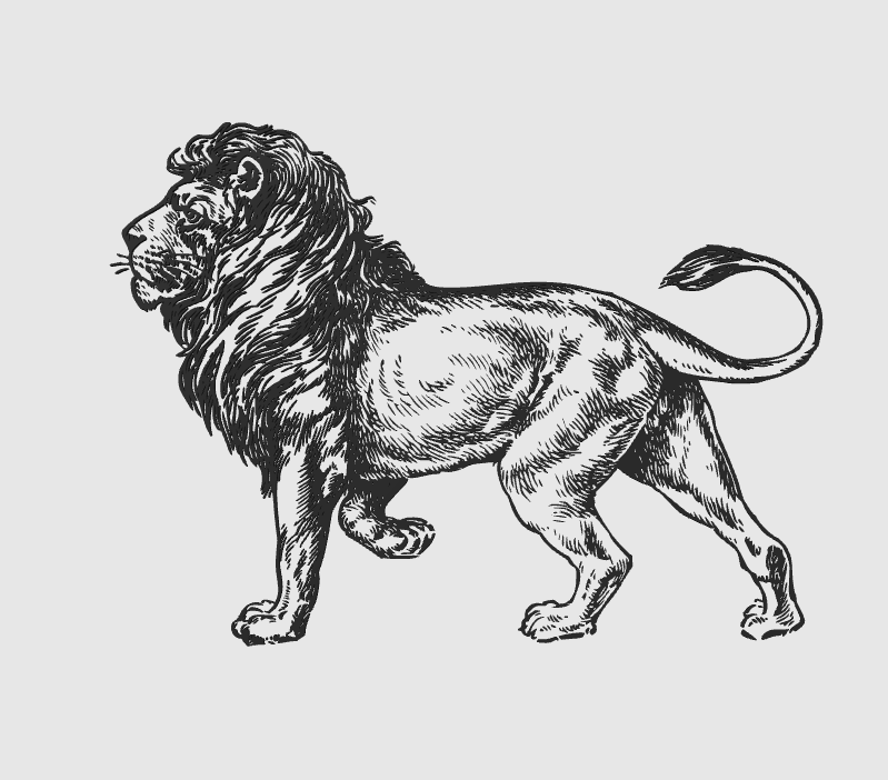 wall art lion