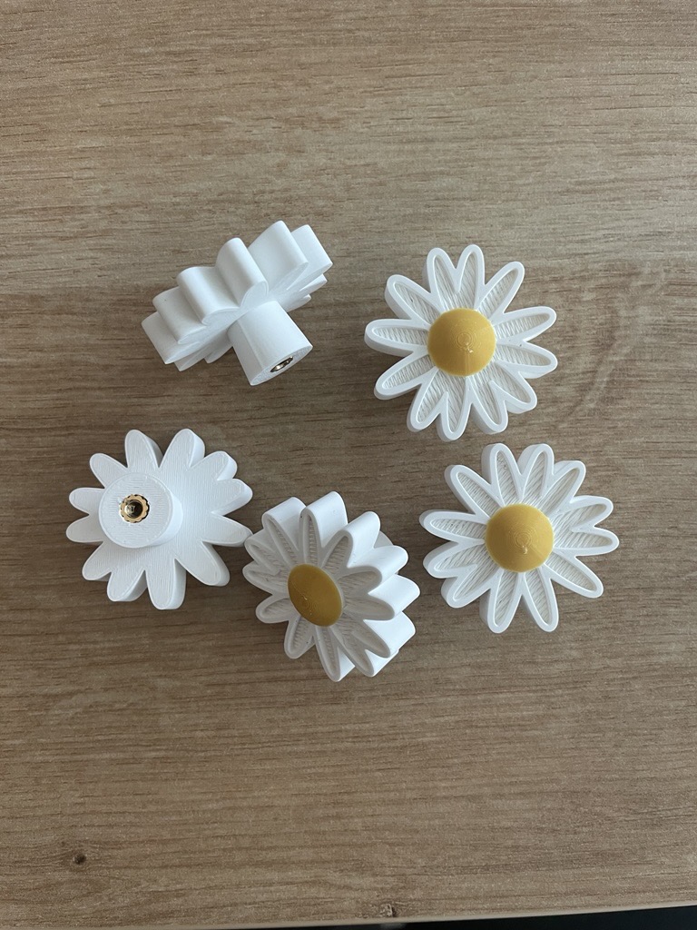 Knob Flower