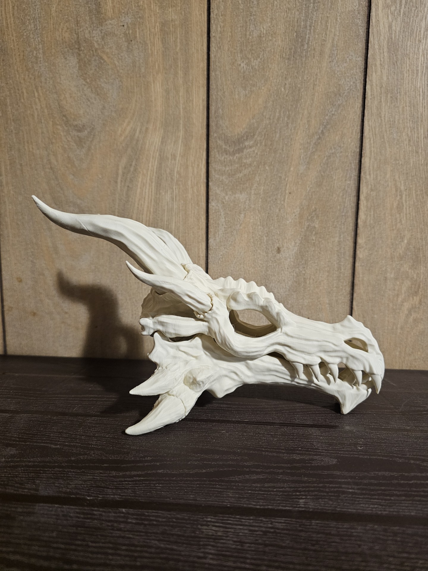 Stylized Dragon Skull - Skyrim Inspired (Movable Jaw)