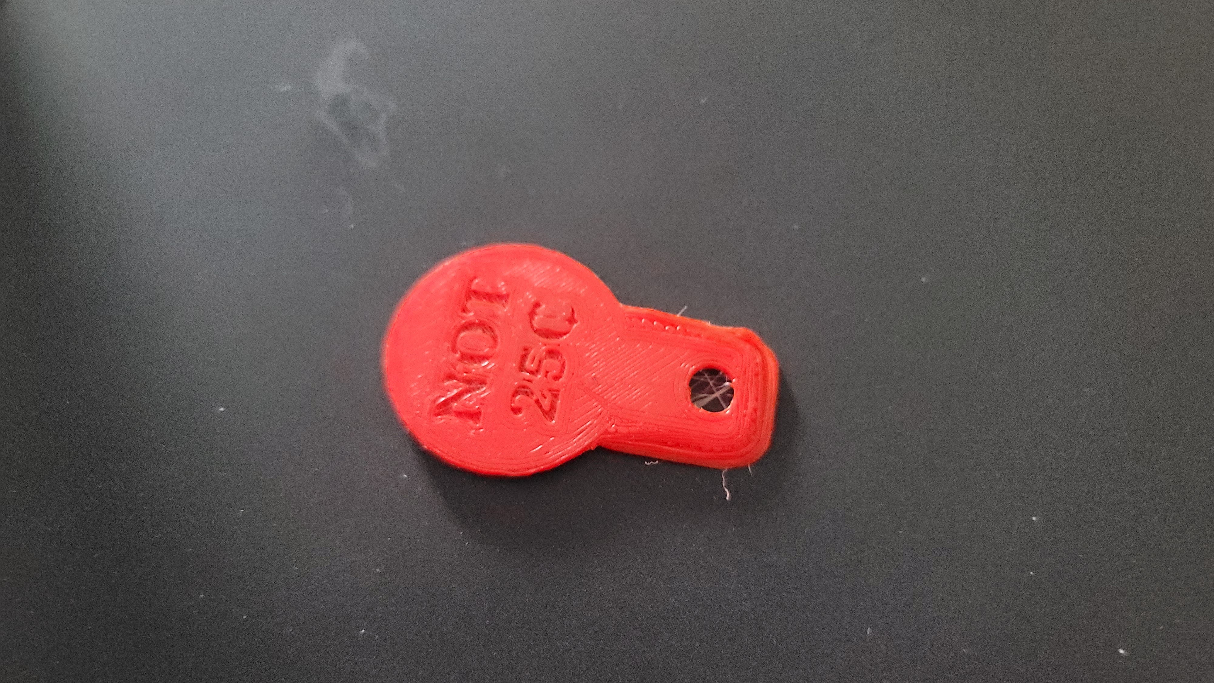 Key Chain Buggy Coin