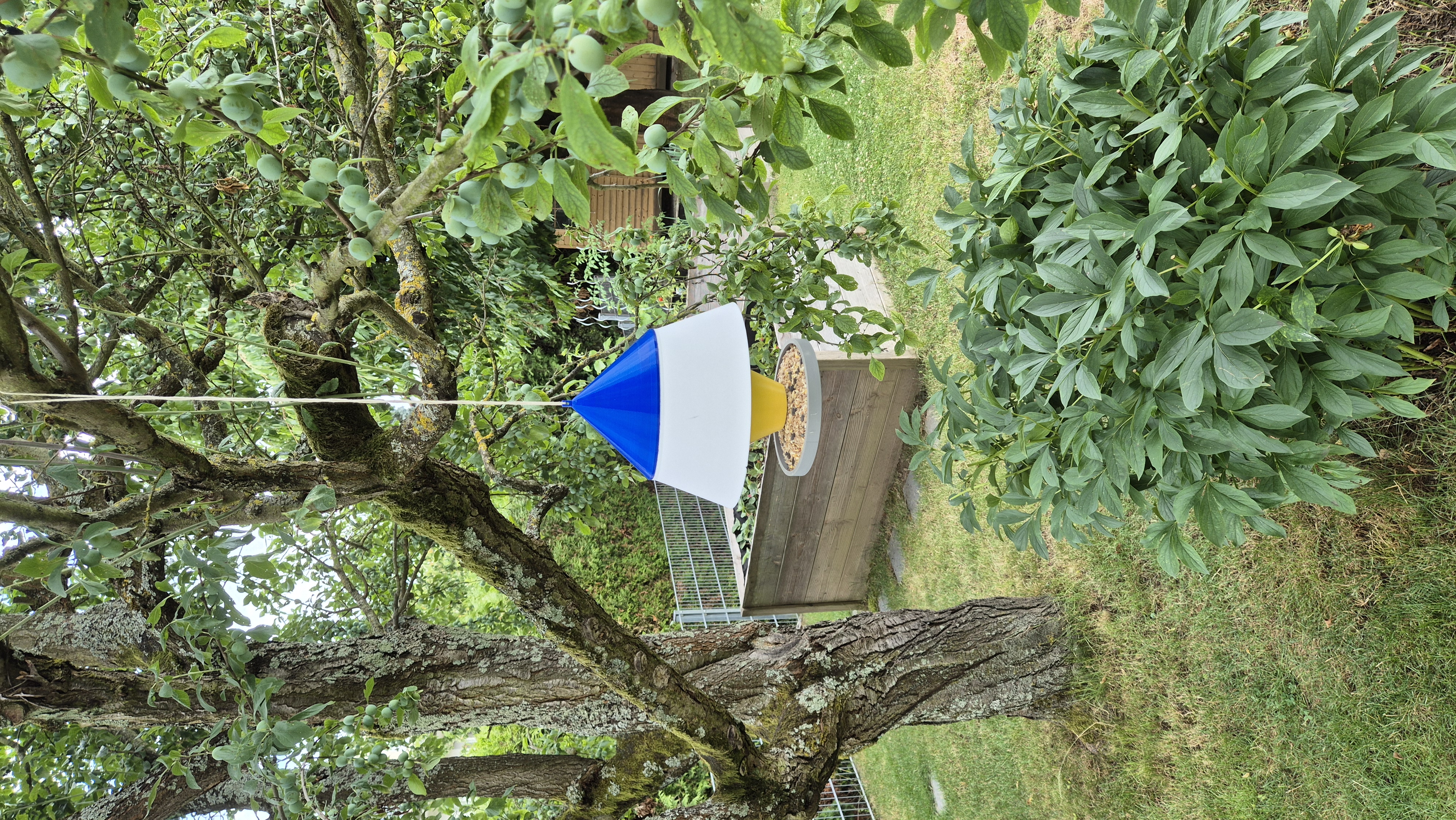 Birdfeeder/Vogelfutterhaus