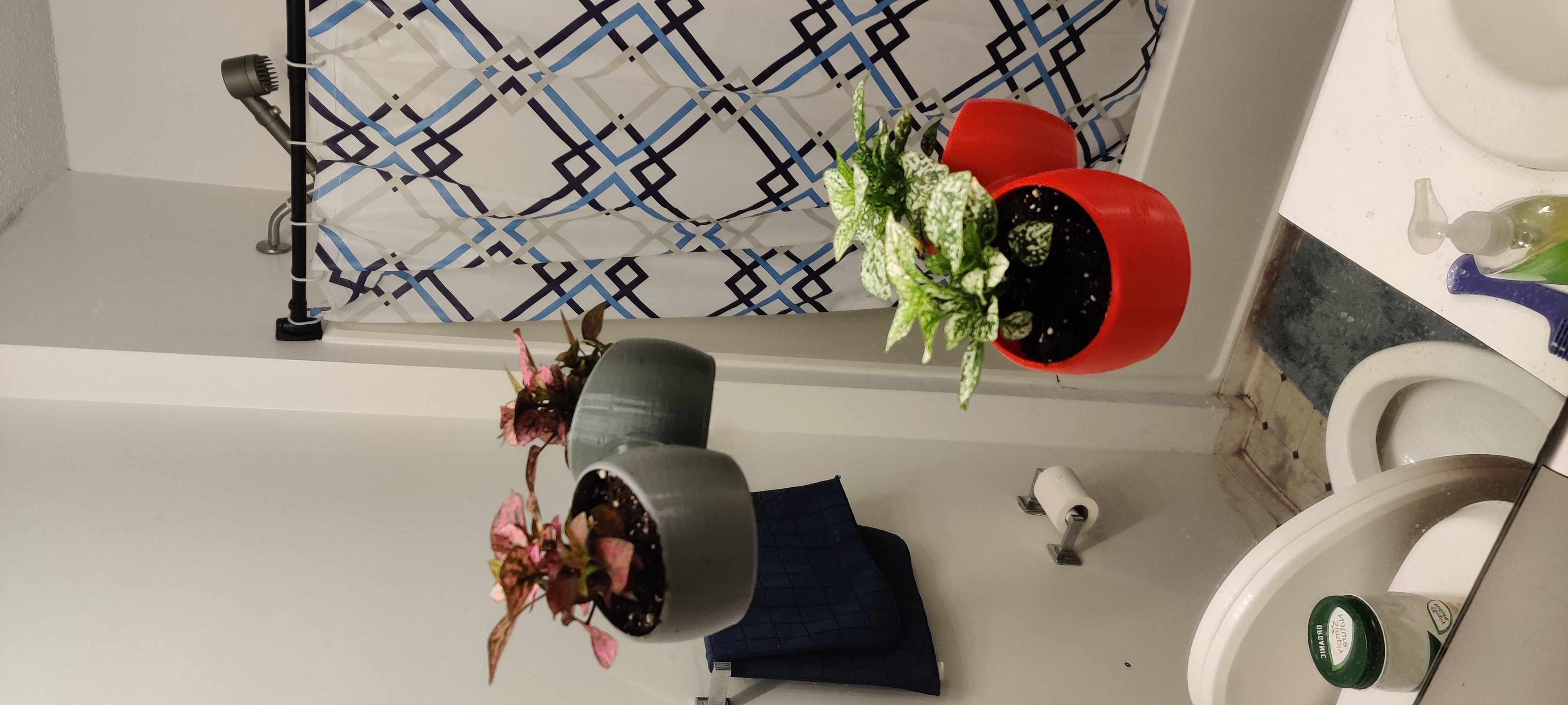 Suction Cup Plant Holder