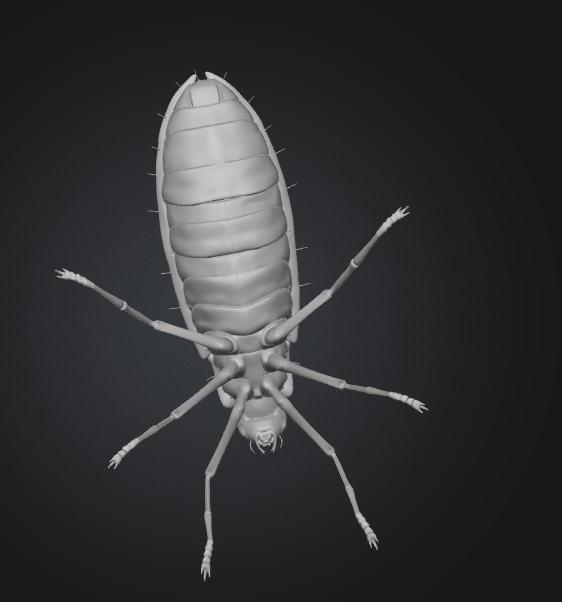 Miniatura 5 do modelo 3D cockroach