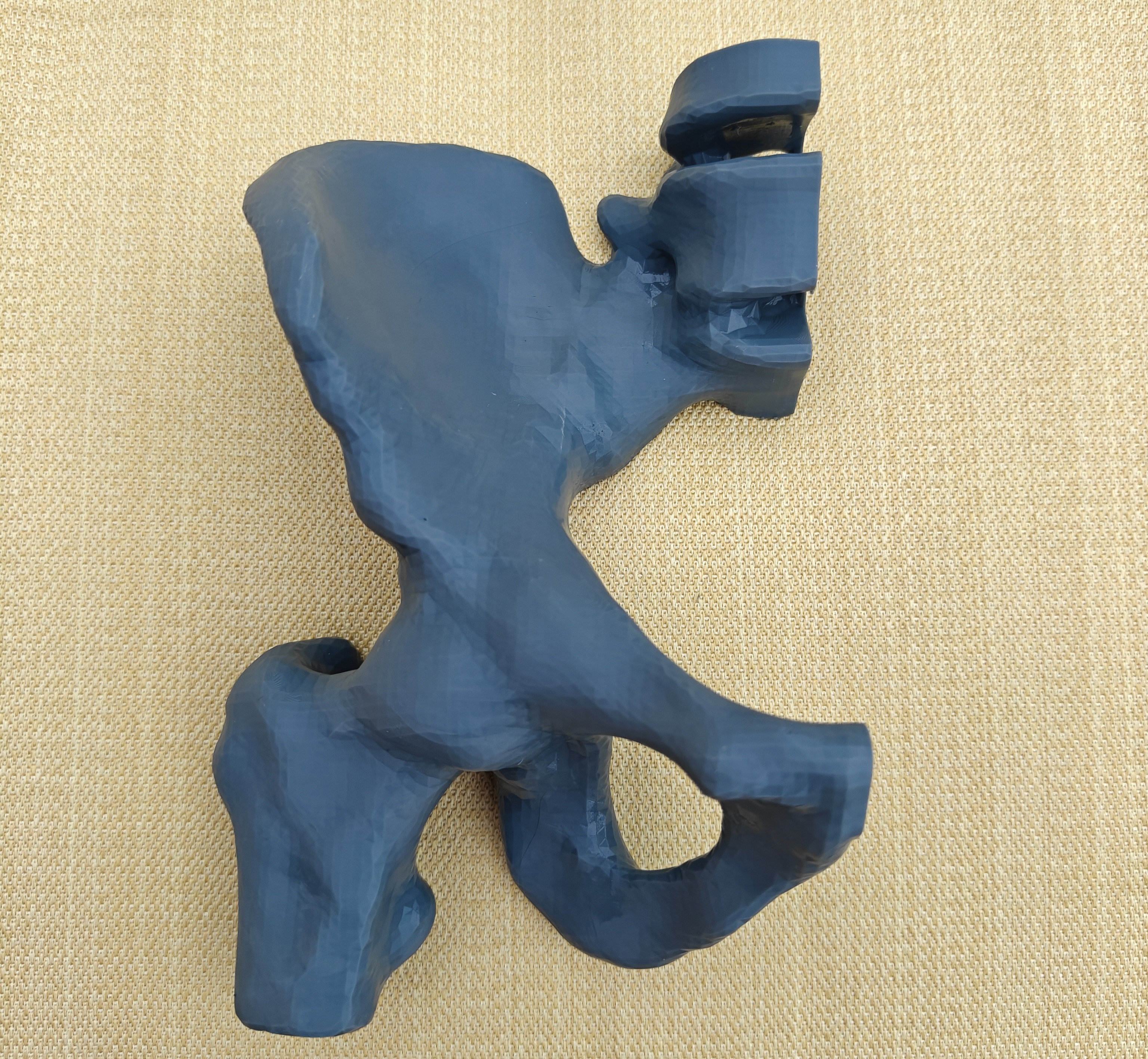 Hemipelvis PENG trainer