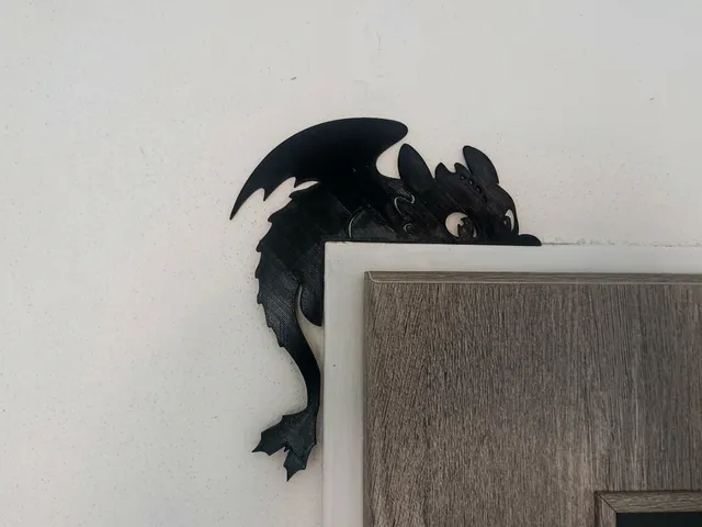 Night Fury Toothless door decor.