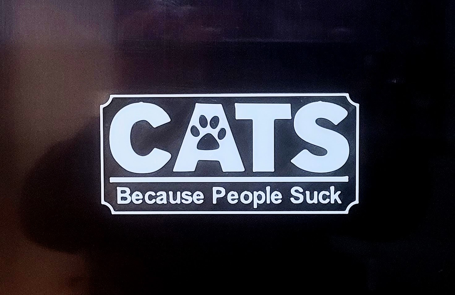 CATS Because People Suck
