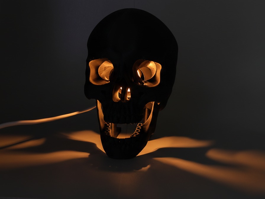 Anatomical Skull Lamp