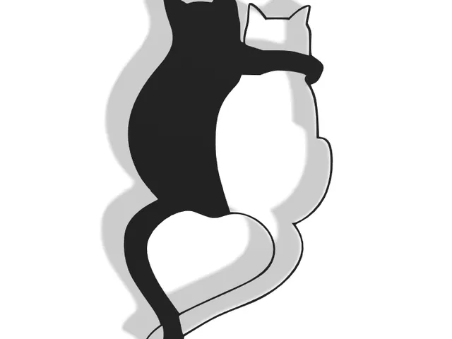 Cat Decor