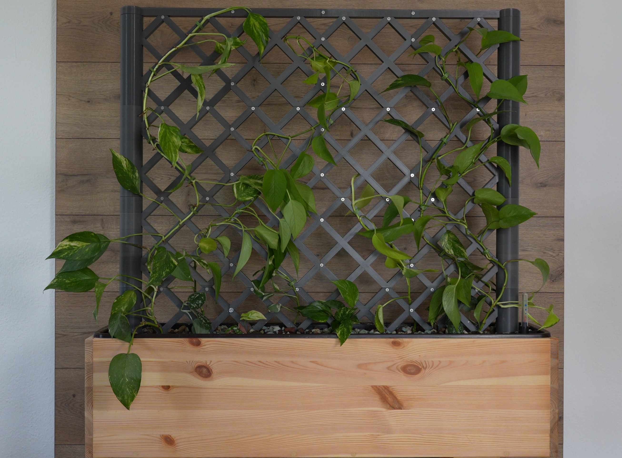 Plant room divider