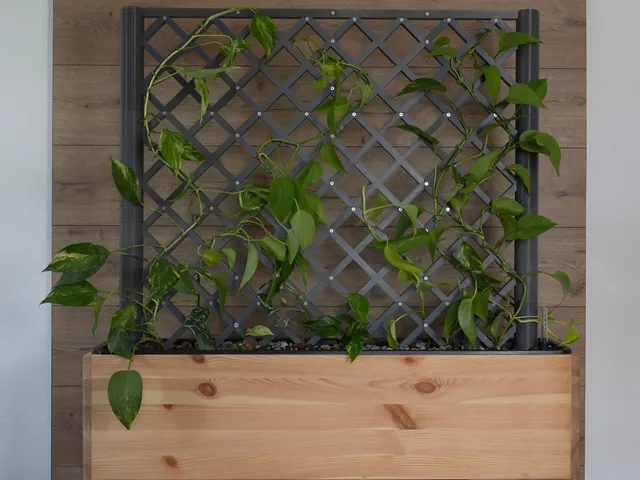 Plant room divider