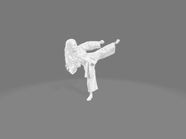The Karate Kid