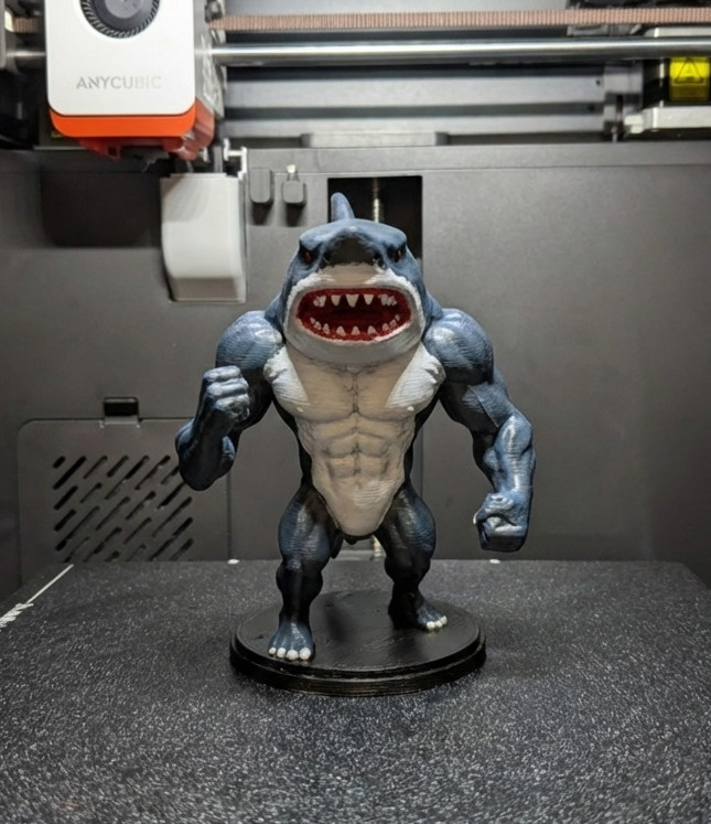Muscular Shark