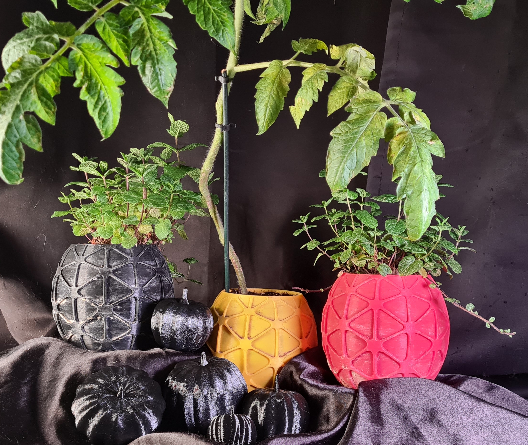 "Exo-Pot" - Designer Planter