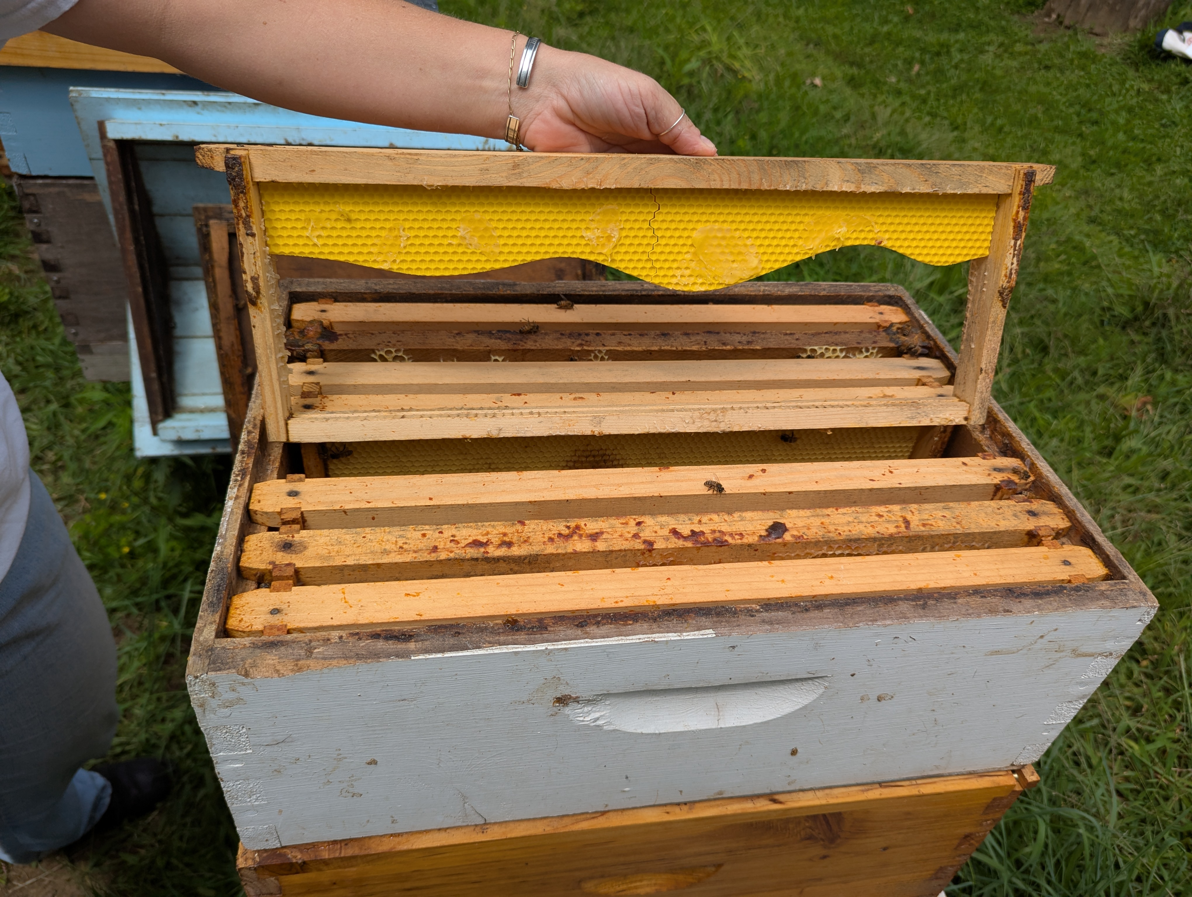 Starter Strip For Beehive Frames