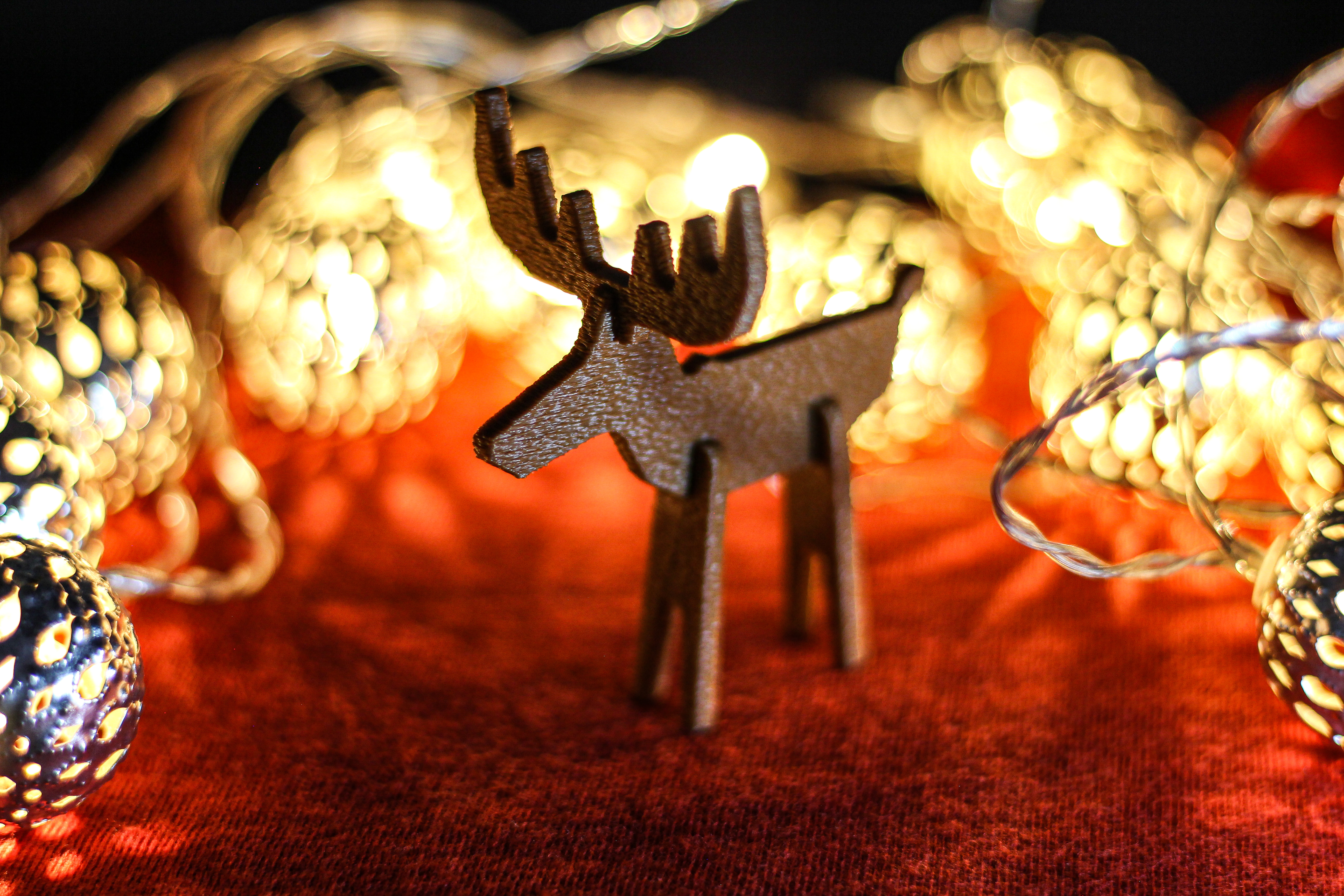 Reindeer & Rudolph — thumbnail 6