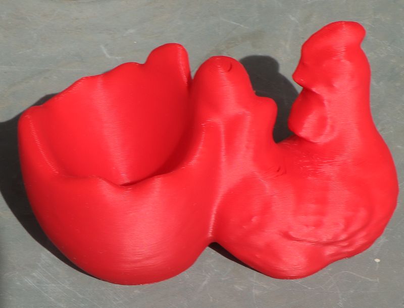 Chicken with an egg cup