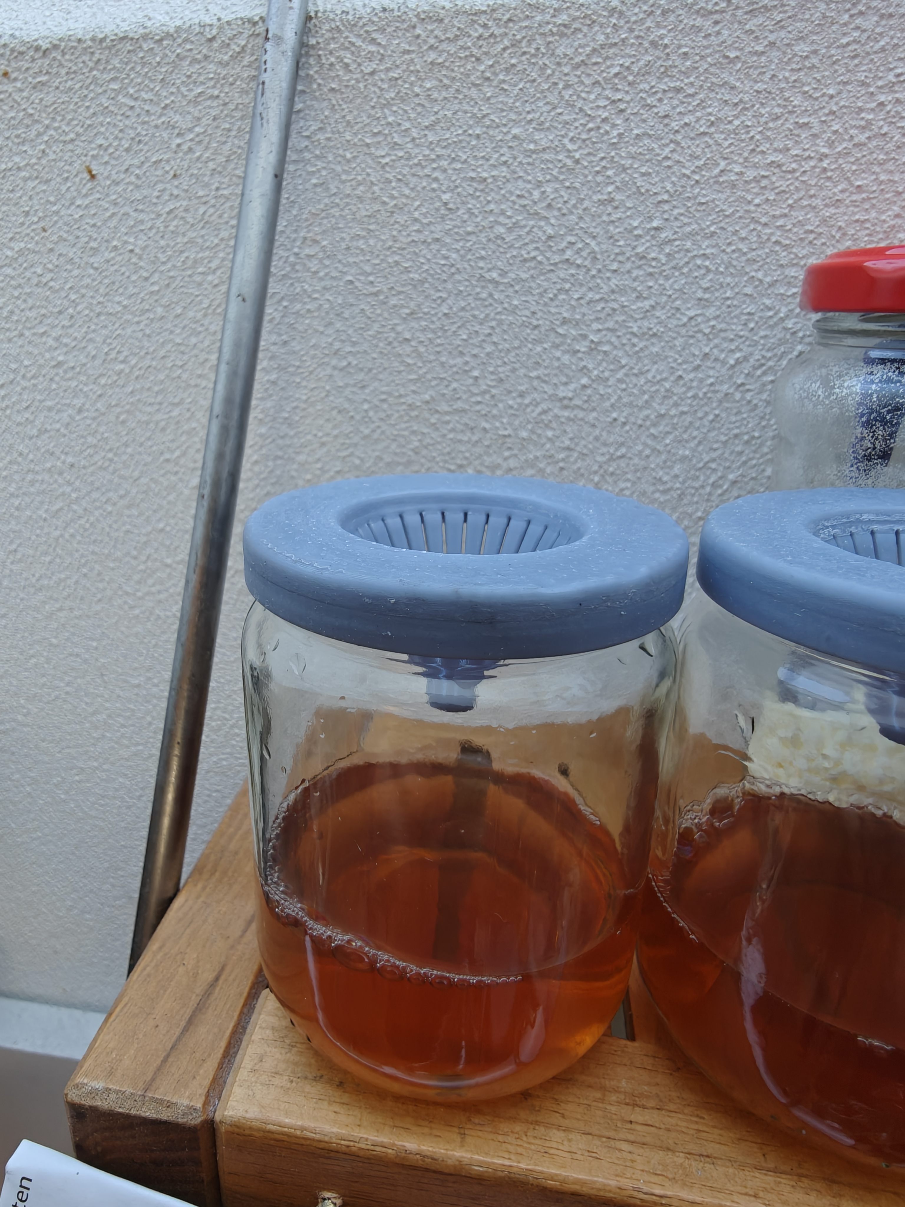 Fruit fly trap / Fruchtfliegenfalle