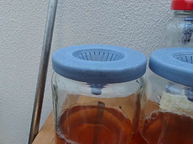 Fruit fly trap / Fruchtfliegenfalle