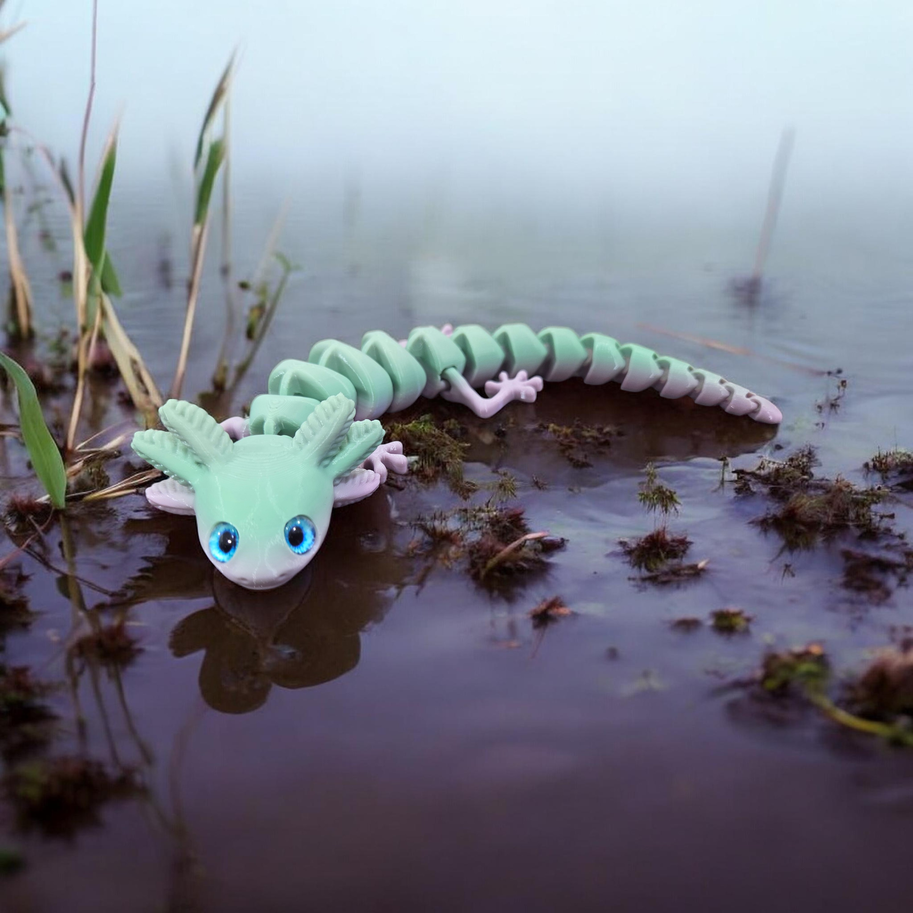 Big eyed Axolotl - 6mm + 8mm glass eye compatible
